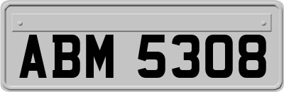 ABM5308
