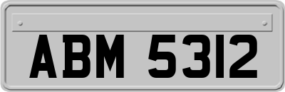 ABM5312