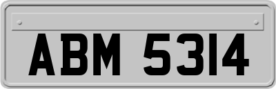 ABM5314