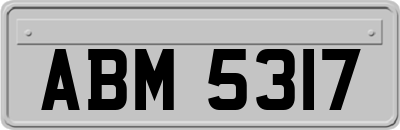 ABM5317