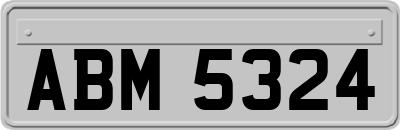 ABM5324