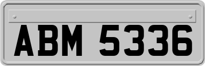ABM5336