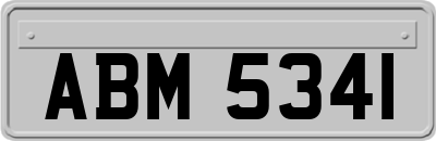 ABM5341