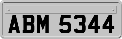 ABM5344