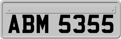 ABM5355