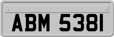 ABM5381