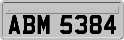 ABM5384