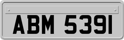 ABM5391