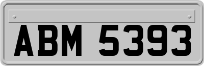 ABM5393