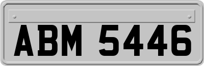 ABM5446