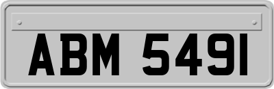 ABM5491