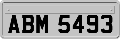 ABM5493