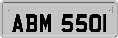 ABM5501