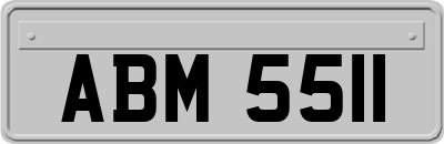 ABM5511