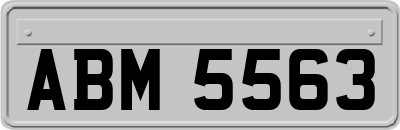 ABM5563