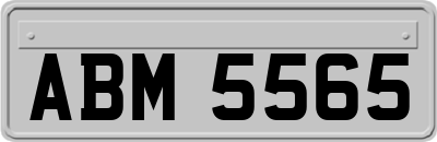 ABM5565