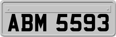 ABM5593