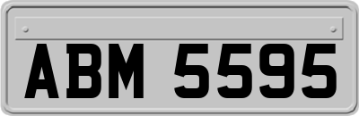 ABM5595