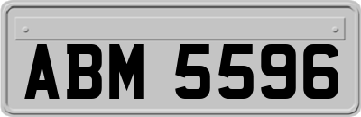 ABM5596