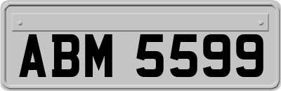 ABM5599