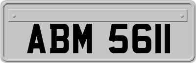 ABM5611