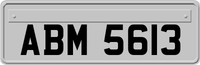 ABM5613