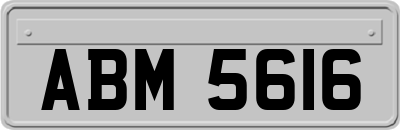 ABM5616