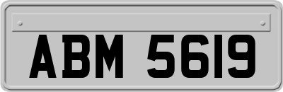 ABM5619