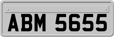 ABM5655