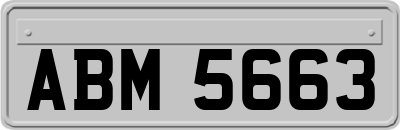 ABM5663