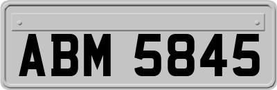 ABM5845