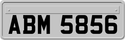 ABM5856