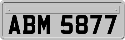 ABM5877