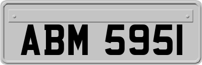 ABM5951