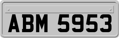 ABM5953