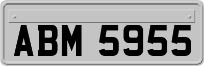 ABM5955