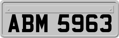 ABM5963