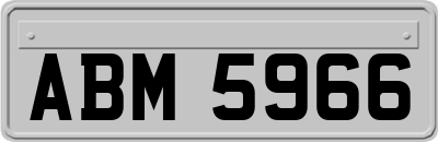 ABM5966