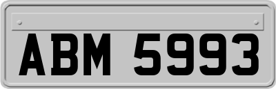 ABM5993