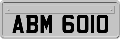 ABM6010