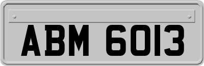 ABM6013