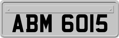 ABM6015