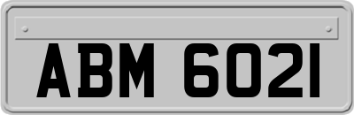 ABM6021