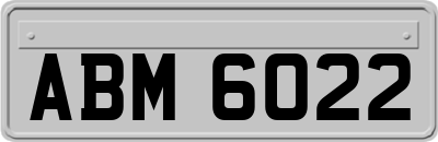 ABM6022