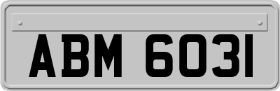 ABM6031