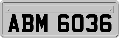 ABM6036
