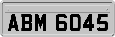 ABM6045