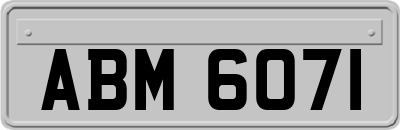 ABM6071
