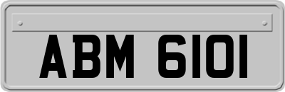 ABM6101