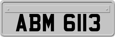 ABM6113